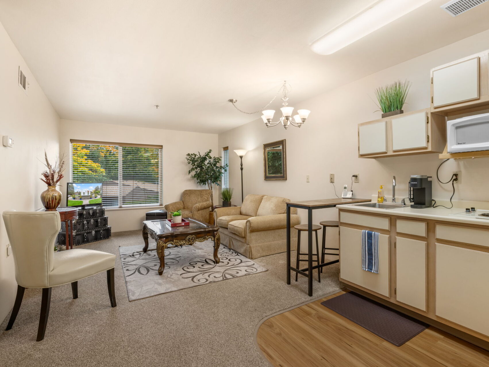 1 Bed Deluxe - living room and kitchen